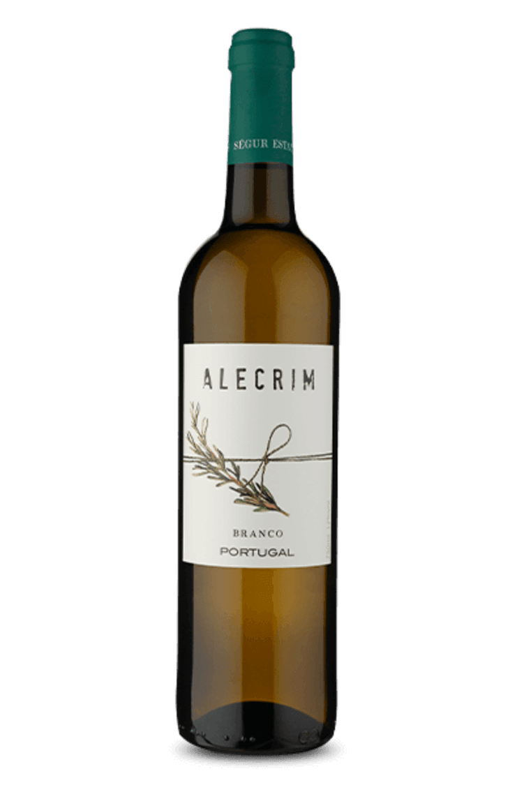 Alecrim Branco — Alecrim